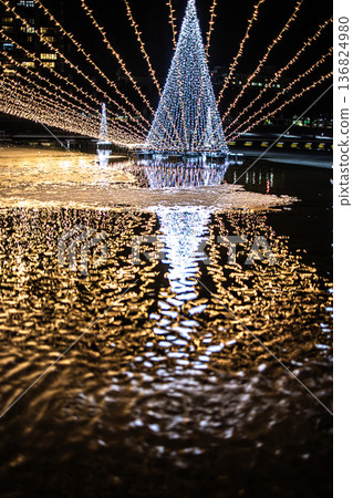 富山市富岩運河關水公園的噴泉廣場在雪花飄落的襯托下，燈光璀璨，更美麗動人。 136824980