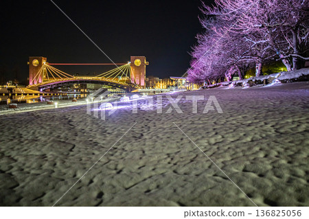 隨著積雪的增多,富山縣富岩運河關水公園的夜景更加美麗。 隨著積雪的增多,富山縣富岩運河關水公園的夜景更加美麗。 136825056