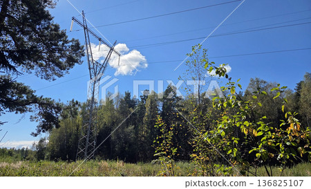 High voltage power line in scenic forest landscape under clear blue sky High voltage power line in scenic forest landscape under clear blue sky 136825107