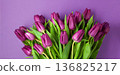 Mother's Day concept with purple tulips flowers  on purple background 136825217
