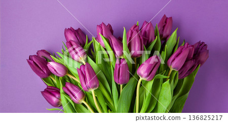Mother's Day concept with purple tulips flowers on purple background Mother's Day concept with purple tulips flowers on purple background 136825217