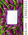 Mother's Day concept with purple tulips flowers  on purple background 136825223