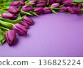 Mother's Day concept with purple tulips flowers  on purple background 136825224