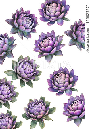 Multiple purple-pink blooming flowers with green leaves isolated on white background, botanical floral pattern concept 136825271