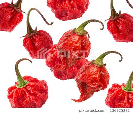 Wrinkled red Carolina Reaper chili peppers isolated on white background, close-up of extreme heat food concept, natural style 136825281