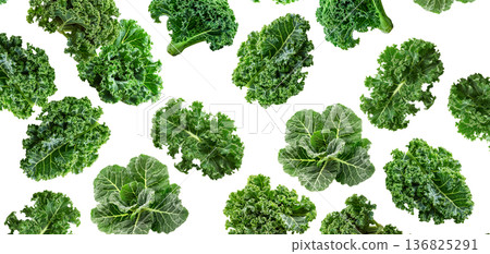 Fresh curly kale leaves arranged in a scattered layout, isolated on white background, concept of healthy eating. 136825291