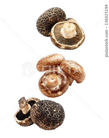 Variety of edible mushrooms with intricate textures and gills, isolated on white background, concept of natural food Variety of edible mushrooms with intricate textures and gills, isolated on white background, concept of natural food 136825294