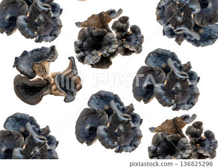 Variety of edible mushrooms with intricate textures and gills, isolated on white background, concept of natural food Variety of edible mushrooms with intricate textures and gills, isolated on white background, concept of natural food 136825296