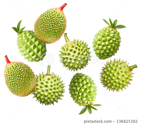 Multiple green durian fruits with sharp spikes arranged in a seamless pattern isolated on white background 136825382