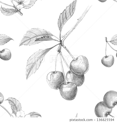 Seamless pattern with detailed pencil art of cherry branches with fruit and leaves on white background, for textile design, vintage packaging, and botanical projects Seamless pattern with detailed pencil art of cherry branches with fruit and leaves on white background, for textile design, vintage packaging, and botanical projects 136825594
