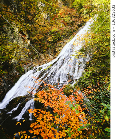 秋葉環繞的瀑布 136825632