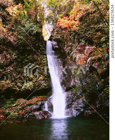 在秋葉包裹的瀑布 136825634