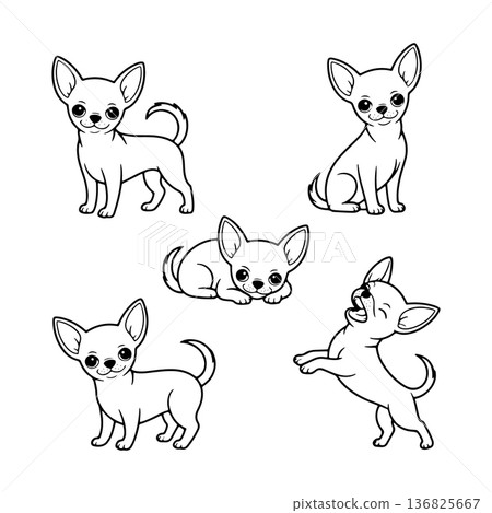 Charming chihuahua illustrations in playful poses for coloring and creative fun Charming chihuahua illustrations in playful poses for coloring and creative fun 136825667