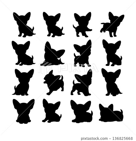 Multiple silhouettes of playful chihuahuas in various poses on a white background 136825668