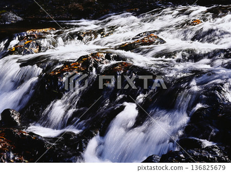河水湍急地流過佈滿落葉的岩石地帶。 河水湍急地流過佈滿落葉的岩石地帶。 136825679