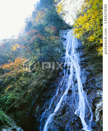 Chichibu Marukami Falls dyed in autumn leaves 136825690