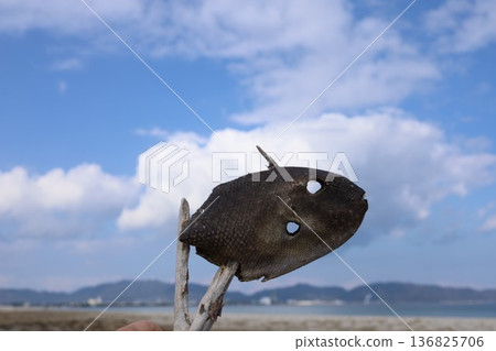 Creepy Fish Mummies Creepy Fish Mummies 136825706