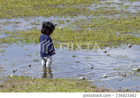 孩子掉進水坑 孩子掉進水坑 136825862