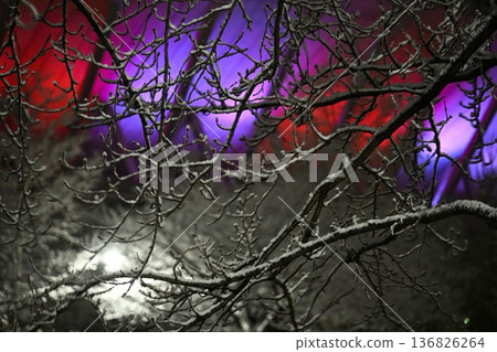 Snowy scenery and the night view of Big Swan (Niigata City, Niigata Prefecture) Snowy scenery and the night view of Big Swan (Niigata City, Niigata Prefecture) 136826264