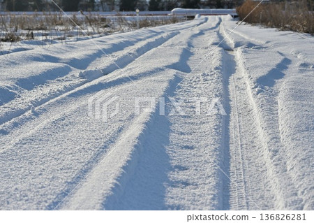 積雪覆蓋的農場道路，路面佈滿車轍（新潟縣新潟市） 136826281