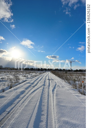 積雪覆蓋的農場道路，路面佈滿車轍（新潟縣新潟市） 136826282