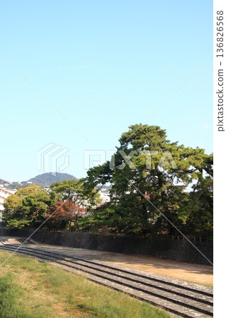 位於修久川和甲斐山沿岸的松樹公園：兵庫縣西宮市（豎圖） 136826568