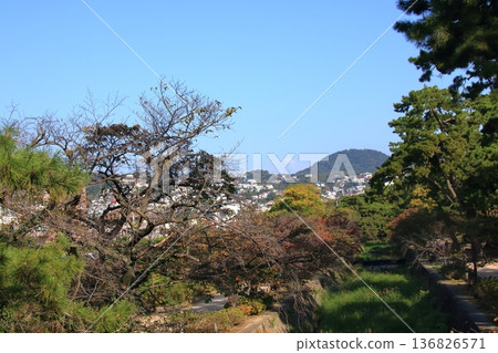 冬季從宿川對岸眺望兜山：兵庫縣西宮市（橫圖） 136826571