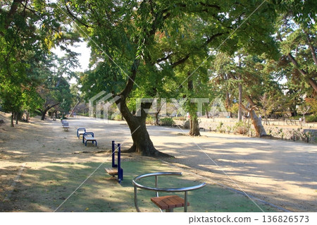 宿川河兩岸綠樹成蔭,路邊有長椅:兵庫縣西宮市(橫向) 宿川河兩岸綠樹成蔭,路邊有長椅:兵庫縣西宮市(橫向) 136826573