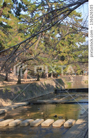 The flow of Shukugawa River (Nishinomiya City, Hyogo Prefecture) in late autumn (vertical) 136826585