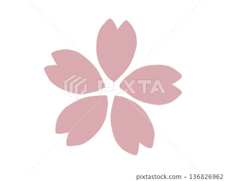 淺粉紅色櫻花插圖 淺粉紅色櫻花插圖 136826962