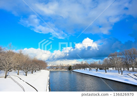 Snow-covered tree-lined road and Niigata Prefectural Sports Park (Niigata City, Niigata Prefecture) Snow-covered tree-lined road and Niigata Prefectural Sports Park (Niigata City, Niigata Prefecture) 136826970