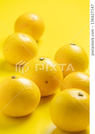 日向夏天 日向夏天 136827147