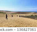 鳥取沙丘上人頭攢動 136827361