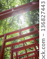 Red torii 136827443