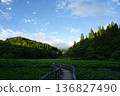 The beautiful boardwalk and early summer scenery of Takigashira Marsh, surrounded by blue skies and trees 136827490