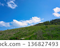 Lush grassland hills with vibrant blue skies and white clouds 136827493