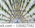 Daikon Tower 136827582