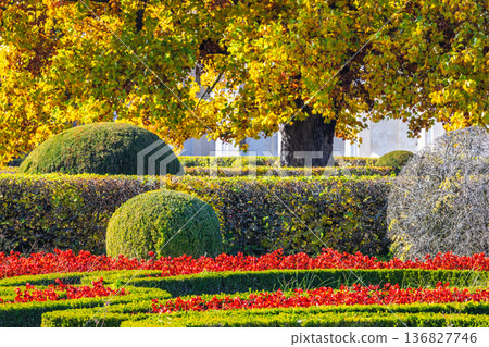 Elaborate garden design featuring sculpted hedges, vibrant flower beds, and a majestic tree with golden autumn foliage. The Flower Garden in Kromeriz town in Moravia region of Czech Republic, Europe. Elaborate garden design featuring sculpted hedges, vibrant flower beds, and a majestic tree with golden autumn foliage. The Flower Garden in Kromeriz town in Moravia region of Czech Republic, Europe. 136827746