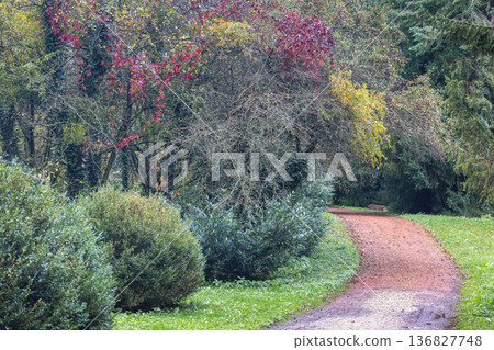 The garden by the Buchlovice castle, Czech Republic, Europe. Path winding through autumn trees, with red and yellow leaves. Serene nature scene, a relaxing walk in a lush forest. The garden by the Buchlovice castle, Czech Republic, Europe. Path winding through autumn trees, with red and yellow leaves. Serene nature scene, a relaxing walk in a lush forest. 136827748