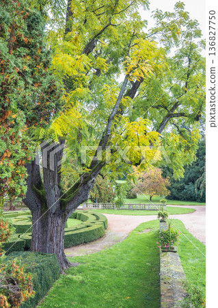 The garden by the Buchlovice castle, Czech Republic, Europe. A serene landscape features a magnificent, mature tree with golden leaves, with well-kept garden path, creating a scene of natural beauty. 136827750