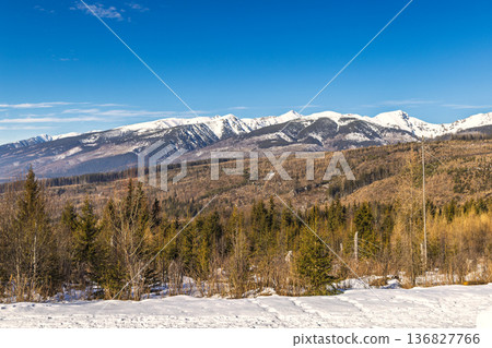 Snowy mountain peaks rise above a winter landscape with evergreen trees and a blanket of snow under a brilliant blue sky on a clear day. High Tatras National Park, Slovakia, Europe. 136827766