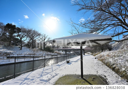 Washinoki Promenade and waterfront scenery in winter (Niigata City, Niigata Prefecture) 136828038