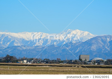Echigo Plain and Iide Mountain Range in winter (Niigata City, Niigata Prefecture) 136828091