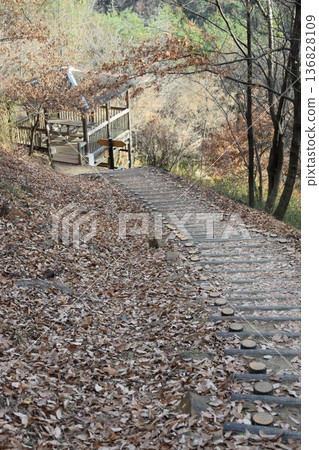 In the forest leading to the ruins of Kanayama Castle in Ota City, Gunma Prefecture In the forest leading to the ruins of Kanayama Castle in Ota City, Gunma Prefecture 136828109