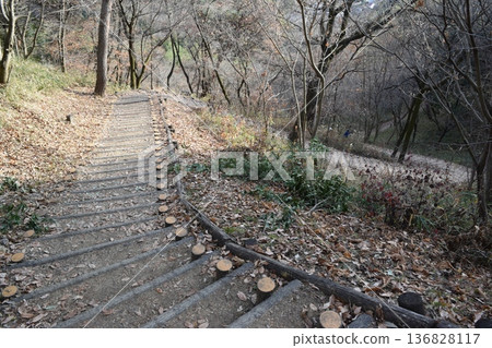 In the forest leading to the ruins of Kanayama Castle in Ota City, Gunma Prefecture In the forest leading to the ruins of Kanayama Castle in Ota City, Gunma Prefecture 136828117