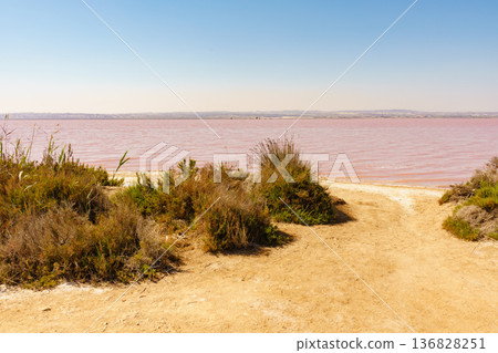 Pink lake, coastal landscape, Spain Pink lake, coastal landscape, Spain 136828251