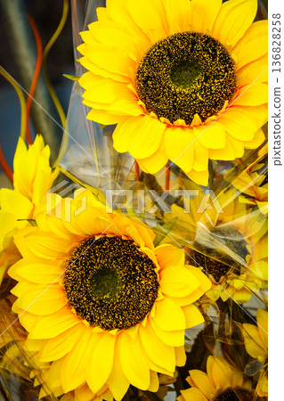 Decorative yellow flowers of sunflower. 136828258