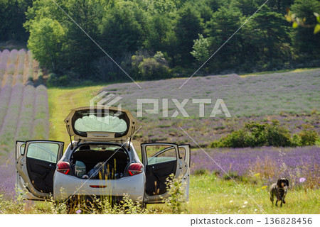 Car with camp equipment on nature Car with camp equipment on nature 136828456