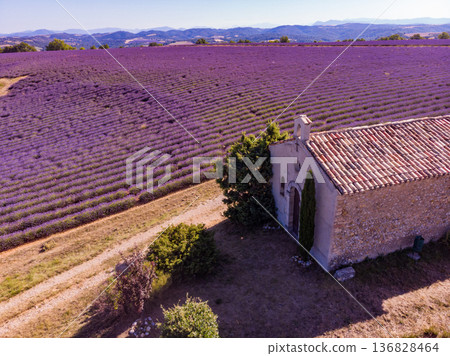 Lavender field and chapel at Entrevennes village, France. Aerial view 136828464