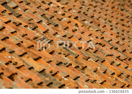 Closeup of red roof tiles with green dust Closeup of red roof tiles with green dust 136828835